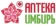 Сеть Имбирь